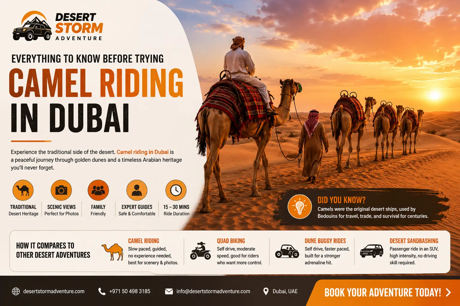 Camel riding Dubai infographic showing traditional desert camel caravan at sunset