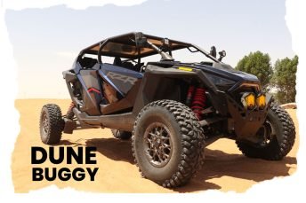Dune Buggy Tours